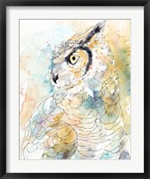 Framed Owl Majestic I
