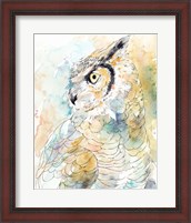 Framed Owl Majestic I