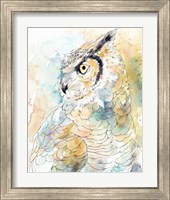 Framed 'Owl Majestic I' border=