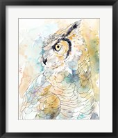 Framed 'Owl Majestic I' border=