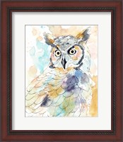 Framed 'Owl Majestic II' border=