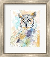 Framed 'Owl Majestic II' border=