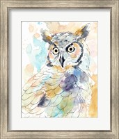 Framed Owl Majestic II