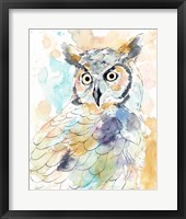 Owl Majestic II Framed Print