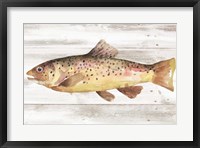 Spotted Trout I Framed Print