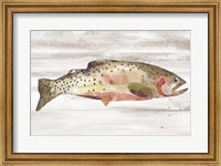 Framed Spotted Trout II