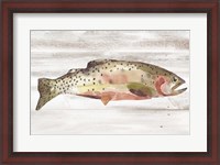Framed Spotted Trout II