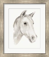 Framed Ivory Stallion I