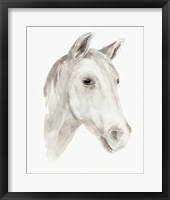 Ivory Stallion I Framed Print