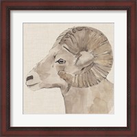 Framed Bighorn Profile I