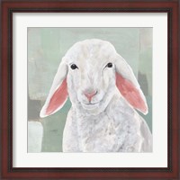 Framed Cotton Ball I