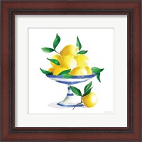 Framed Spanish Lemons II