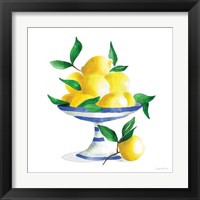 Framed Spanish Lemons II