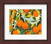 Framed Sweet Clementine I