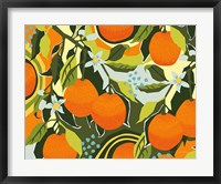 Framed Sweet Clementine I