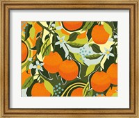 Framed Sweet Clementine I