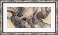 Framed Driftwood III