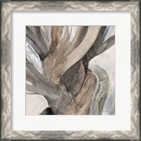 Framed Driftwood I