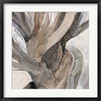 Driftwood I Framed Print