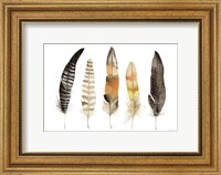 Framed Natural Feathers