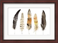 Framed Natural Feathers