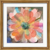 Framed Kaleidoscope Flower