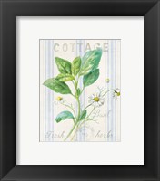 Framed 'Floursack Herbs IV' border=