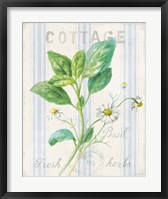 Floursack Herbs IV Framed Print