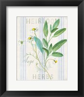 Framed Floursack Herbs III