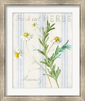 Framed Floursack Herbs I