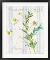 Framed 'Floursack Herbs I' border=