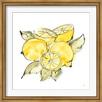 Framed Lemon Still Life IV