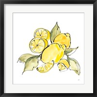 Framed Lemon Still Life III