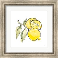Framed Lemon Still Life II
