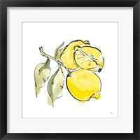 Framed 'Lemon Still Life II' border=