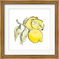 Framed 'Lemon Still Life II' border=