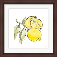 Framed 'Lemon Still Life II' border=