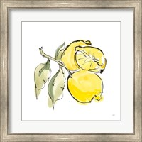 Framed Lemon Still Life II