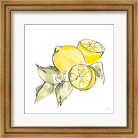 Framed 'Lemon Still Life I' border=