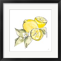 Framed 'Lemon Still Life I' border=