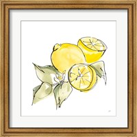 Framed Lemon Still Life I