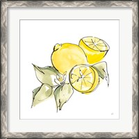 Framed Lemon Still Life I
