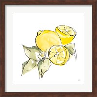 Framed Lemon Still Life I