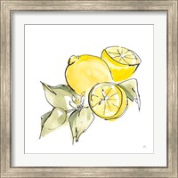 Framed 'Lemon Still Life I' border=
