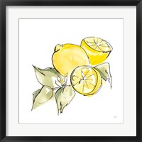 Framed Lemon Still Life I