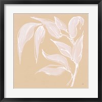 Leaf Study V Framed Print