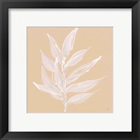 Framed 'Leaf Study IV' border=