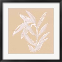 Leaf Study III Framed Print