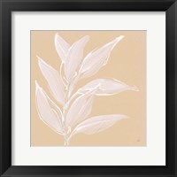 Framed Leaf Study II