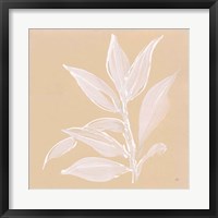 Leaf Study I Framed Print